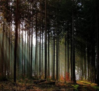 tumblr_lcecuaDTFN1qdl9uko1_400_large